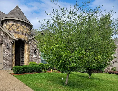 3117 Granite Rock Trl Photo 1
