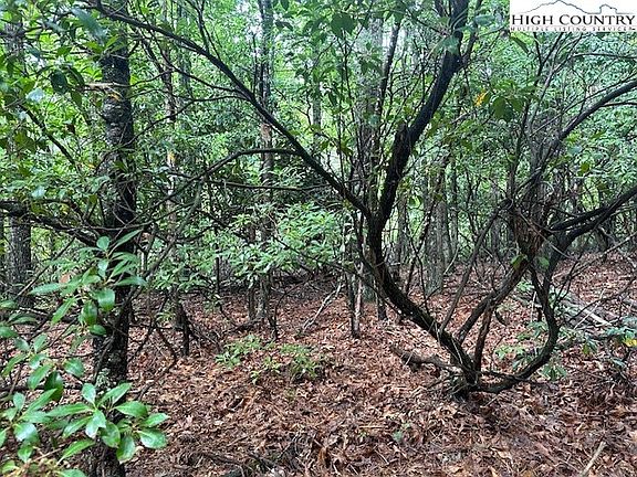 5th image of Lot 105 Meadow Lane or Green Leaf Drive