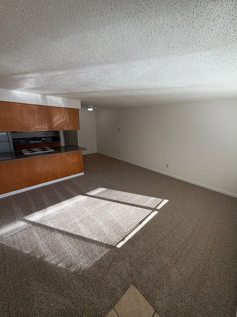 1015 5th Ave SW — Photo 3