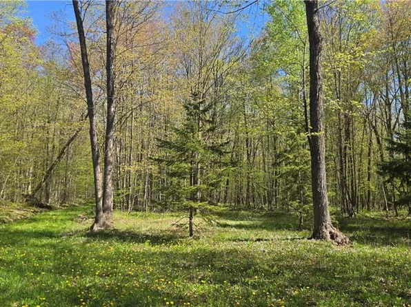 N 900 Joes Road, Conrath, WI 54731