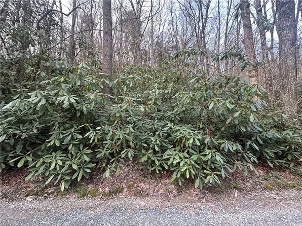 0 Rocky Creek Road, Boone, NC 28607