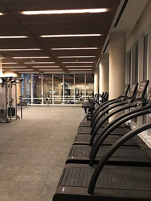 Rented by Stribling | media 65