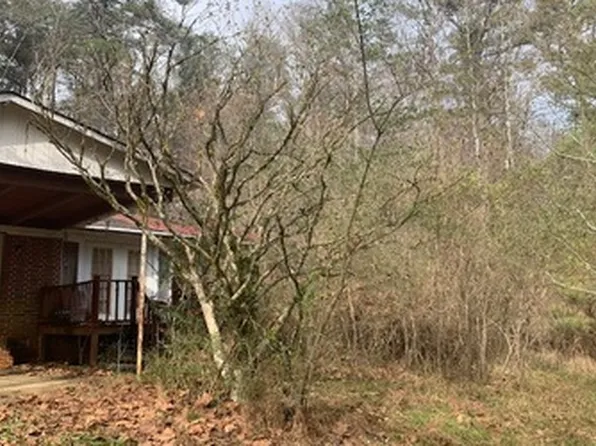 62 Craigtown Rd #3, Ellijay, GA 30540