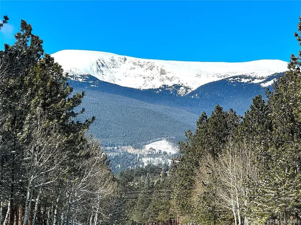 993 Vigilante Avenue, Bailey, CO 80421