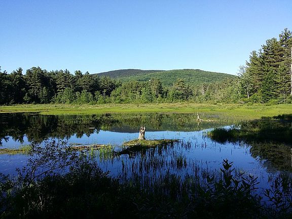 Spring water about 4 ft deep