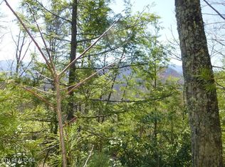 2425 Sonshine Ridge Rd LOT 24&25, Cosby, TN 37722
