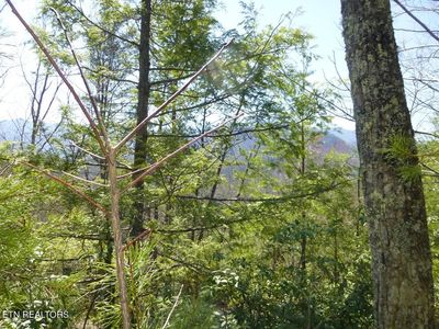 2425 Sonshine Ridge Rd Lot 24&25, Cosby, TN, 37722