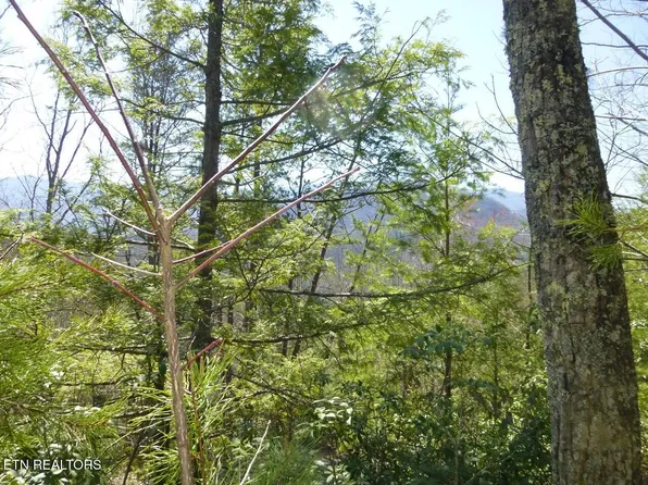 2425 Sonshine Ridge Rd Lot 24&25, Cosby, TN 37722