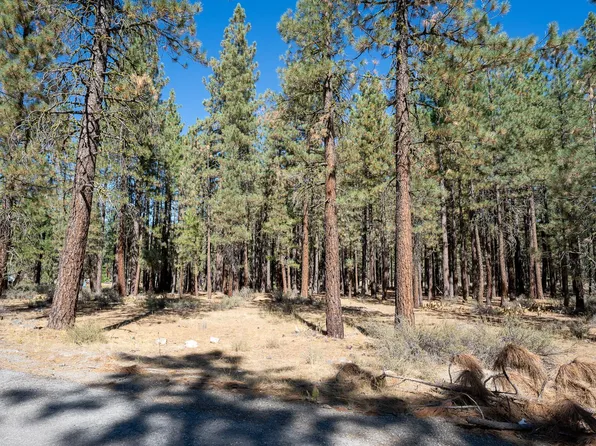 215 Bear Way, Portola, CA 96122