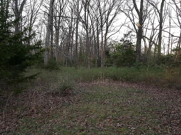 4th image of 1 Tract Krause Dr