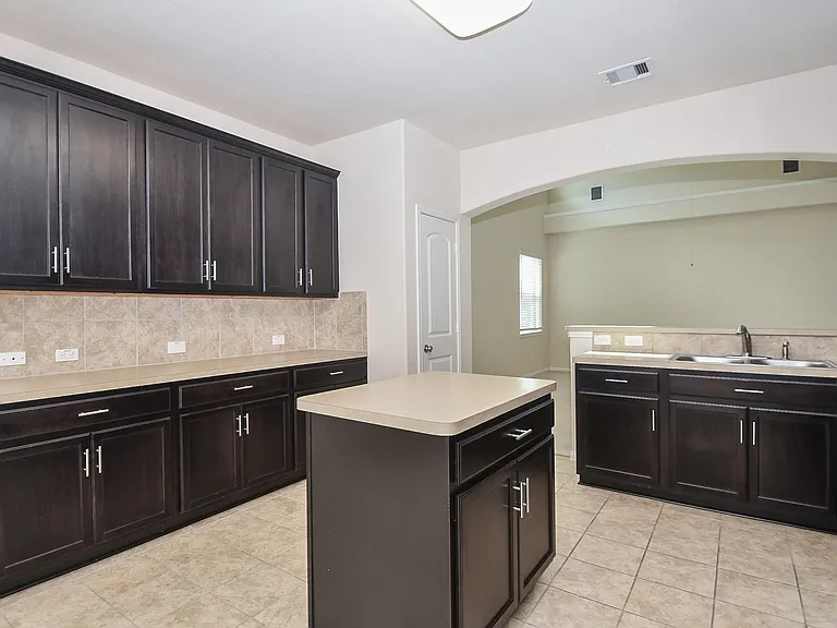 2738 Meandering Elm Trl — Photo 10