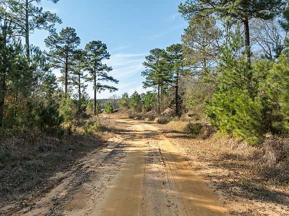 5th image of 0 Bear Pen Creek Rd