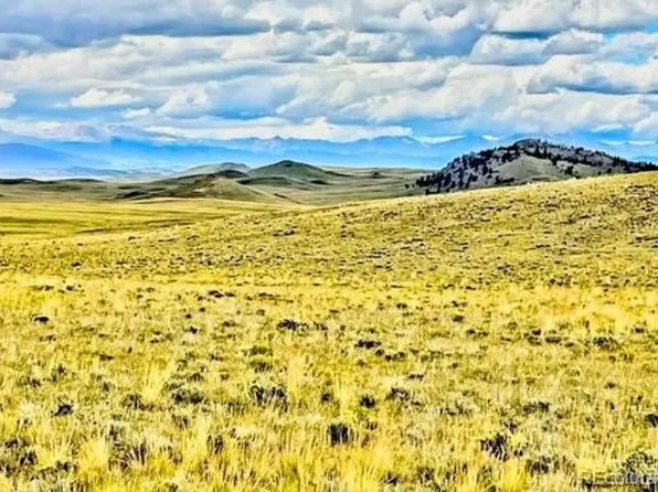 123 Chickamauga Trail, Hartsel, CO 80449