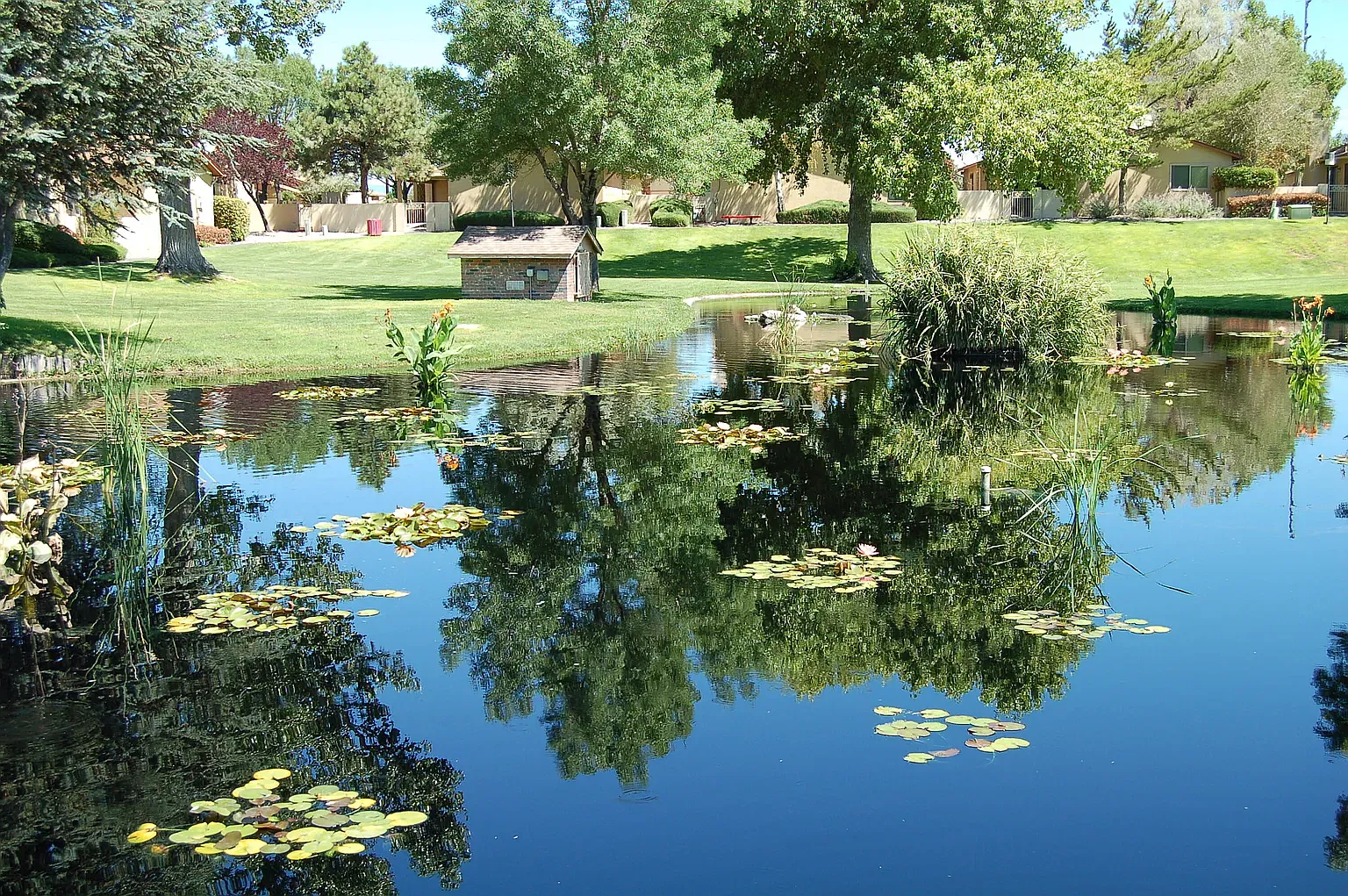 3 bed, 1156 sqft, $2,200 — Photo 4