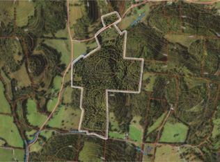 313 Spankem Rd, Fayetteville, TN 37334