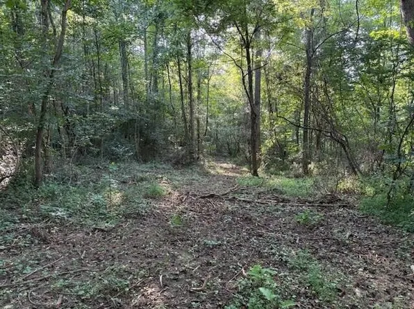 2 Highway 108 Lot 2, Palmer, TN 37365