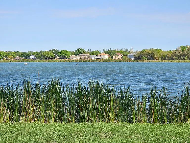 7209 Colonial Lake Dr — Photo 48