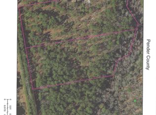 LOT 3233 Bear Branch Dr #32, Currie, NC 28435