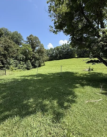 272 Loop Hollow Rd — Photo 12