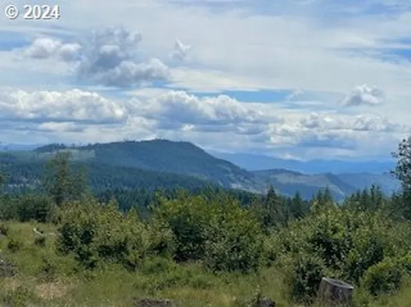 Rattlesnake Rd, Husum, WA 98623
