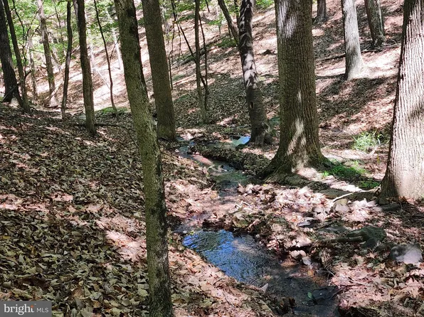 LOT Gaither Rd #B, Paw Paw, WV 25434