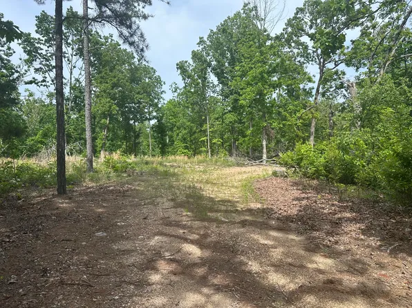 000 Highway 21 And County Road 546, Ellington, MO 63638