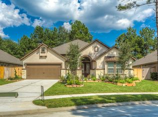 19 S Elderberry Trl, Montgomery, TX 77316