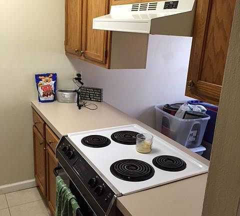 4th image of 408 Great Hill Dr