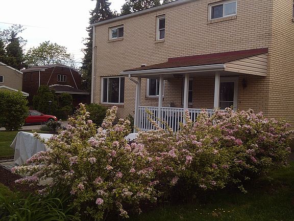 Flowering perennials