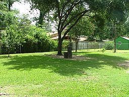 Another view of the backyard