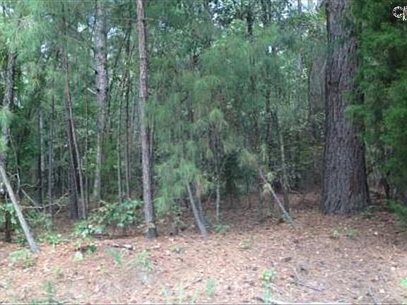 3rd image of 139 Foxwood Dr