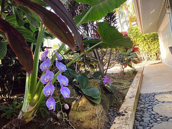 Front entrance to Kitchen Lanai.