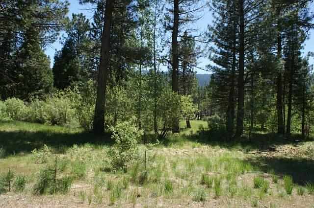 1st image of 973 Prospector Dr