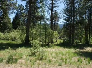 973 Prospector Dr, Clio, CA 96106