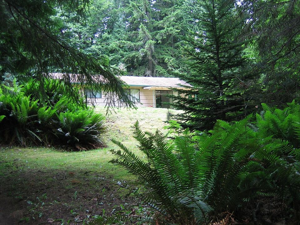 Cabin sits in sunshine in the trees