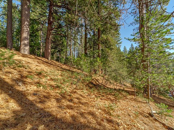 5th image of 2164 Chaparral Dr #253/12