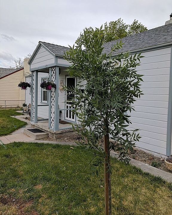 House Facing W Richards St