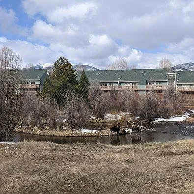 745 Quail Dr — Photo 19