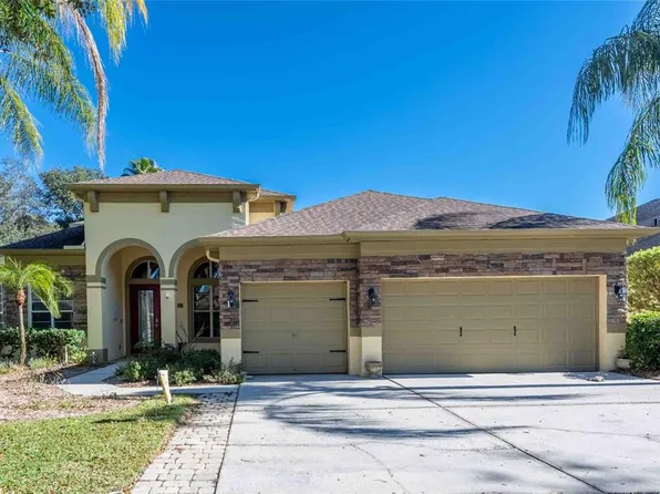 3620 Cordgrass Dr, Valrico, FL 33596