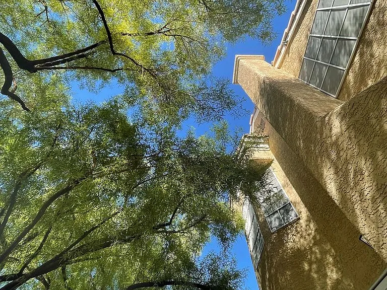 8013 Coral Point Ave — Photo 56
