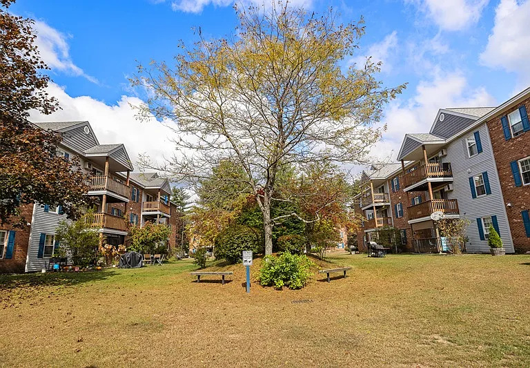 Pinewood Village Apartments — Photo 1