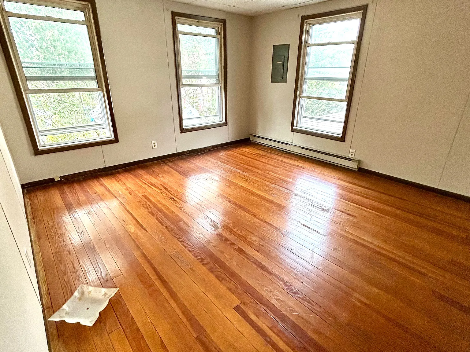1 bed, $1,300 — Photo 2