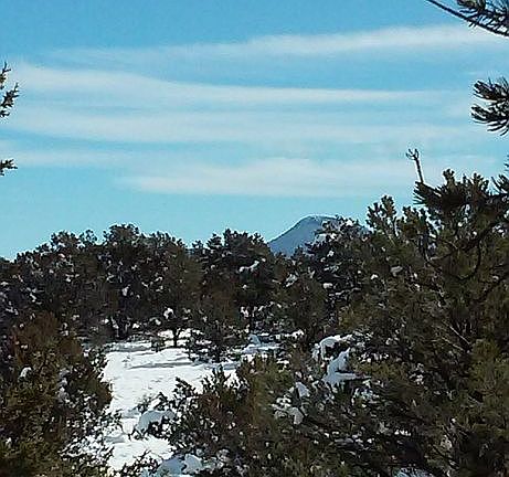 N view from lot w cell