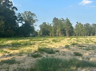 19315 Pampas Dr, Livingston, LA 70754