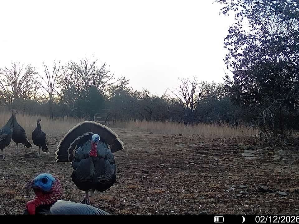 016579007309474 47 2 02122026071936 Syfw06435