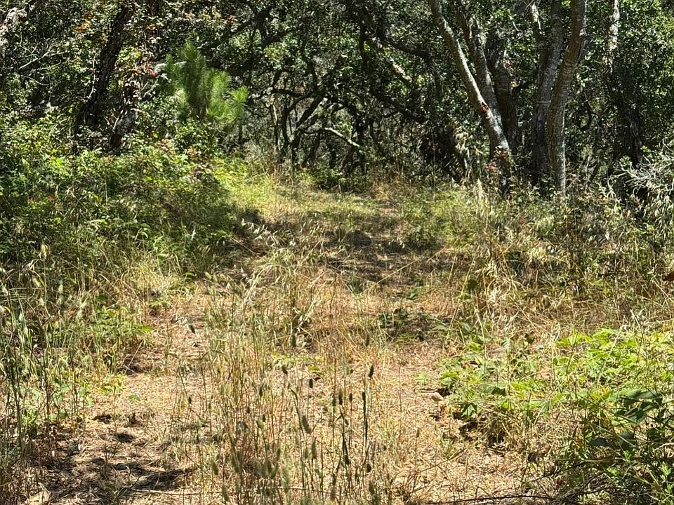 2nd image of (Undisclosed Address)