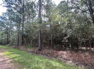 Tampa Cir, Pearlington, MS 39572