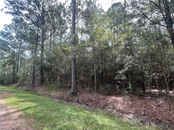 Tampa Cir, Pearlington, MS 39572