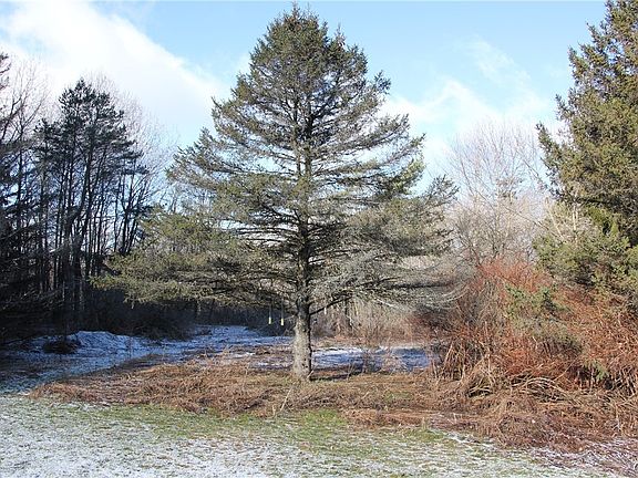 5th image of 2841 Johnnycake Hill Rd