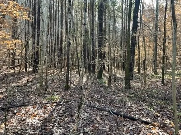 0 Taylorsville Rd, Taylorsville, GA 30178
